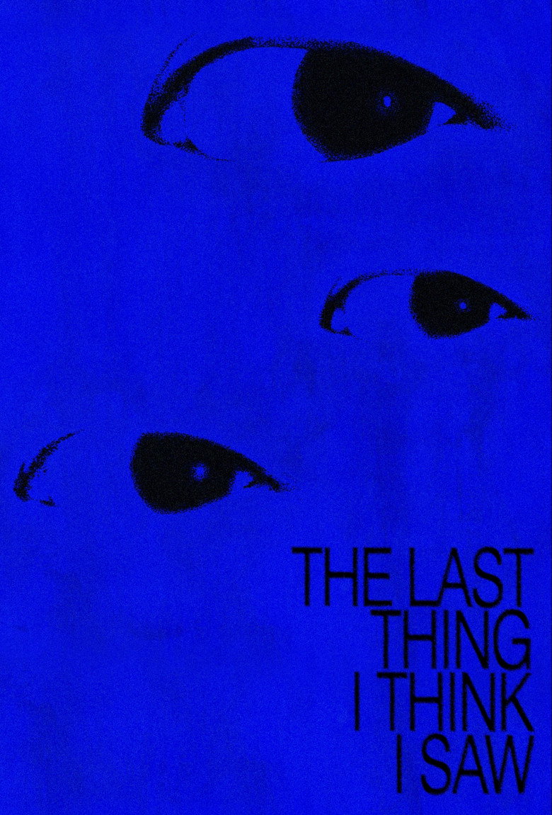 Imatge de The Last Thing I Think I Saw