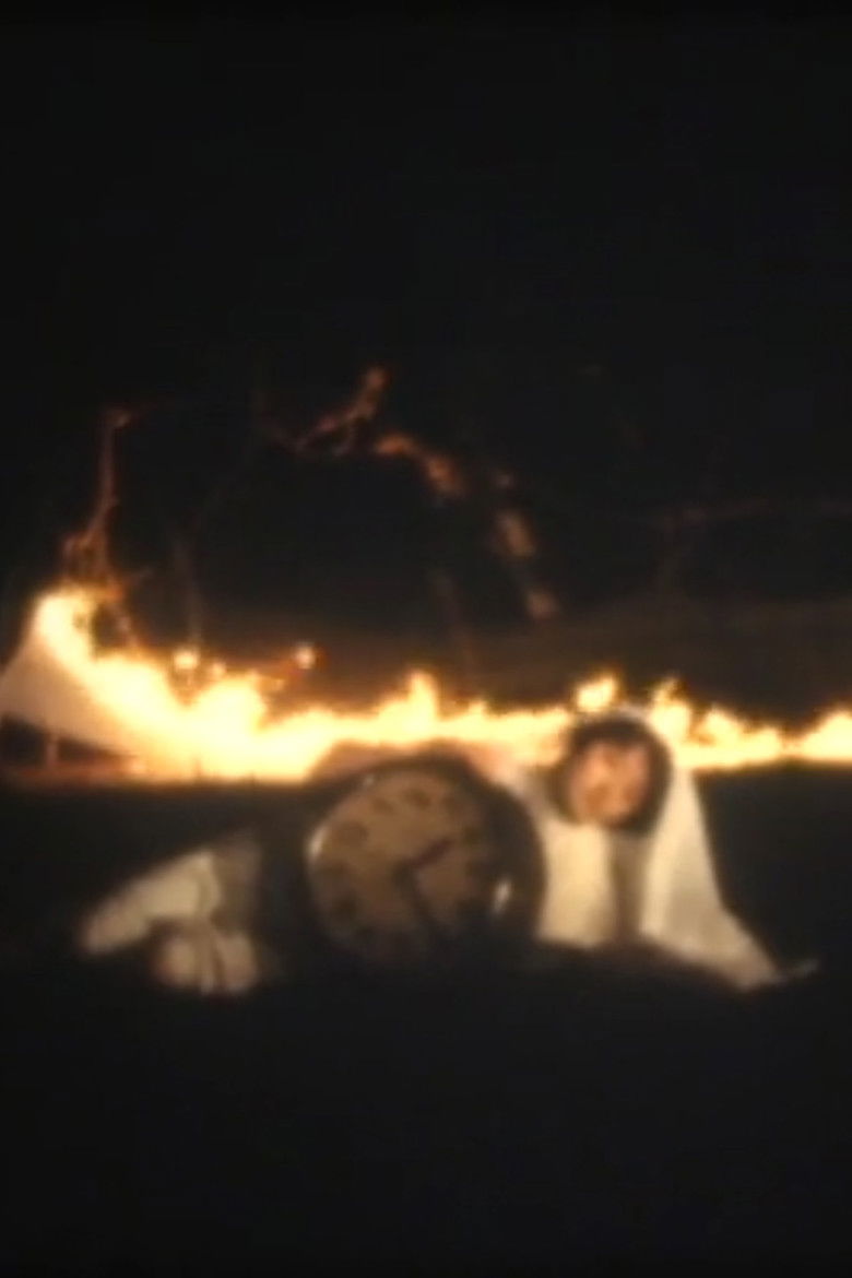 Imatge de 巻貝の扇