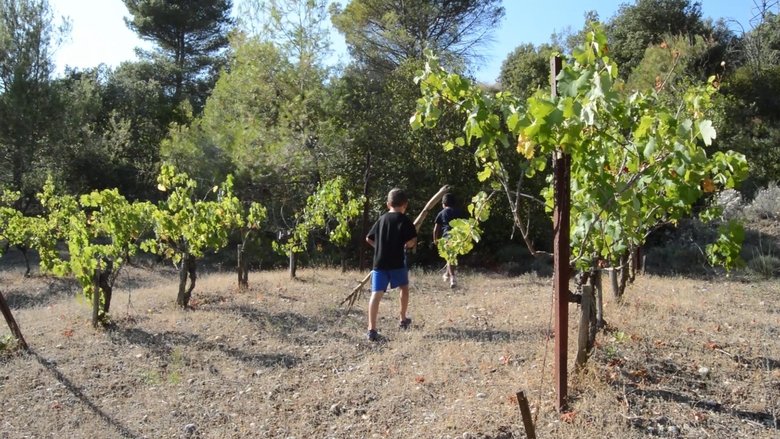 Gallery image from defhzcURAevxvOHYYDtibcU8JbJ.jpg