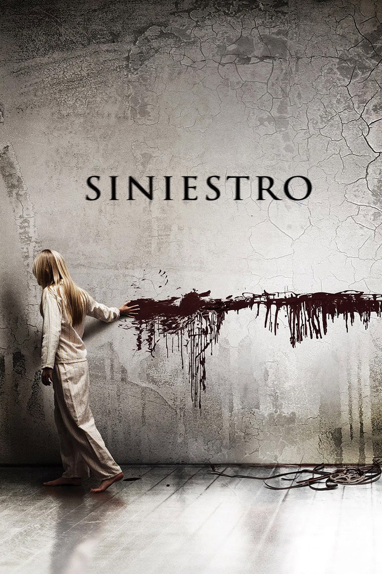 Póster la Película