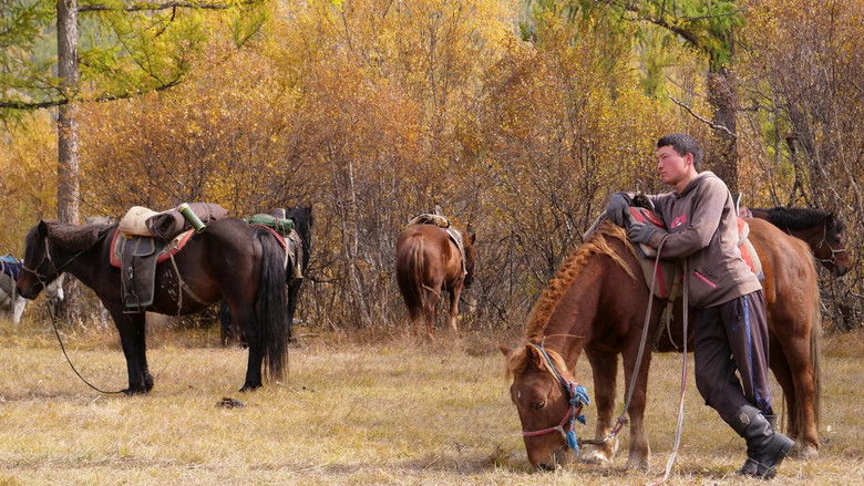 Still image for Fish or Die season 1 episode 3: Lair of the River Wolf