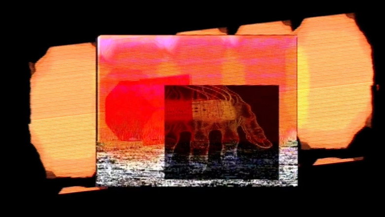 Gallery image from dg7Mxxp0bsjfxF2x5eAqLOe3O0V.jpg