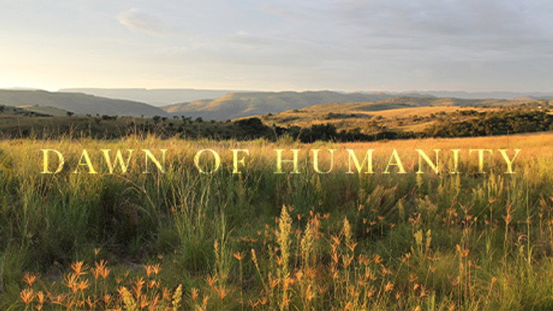 Dawn of Humanity görsel 1