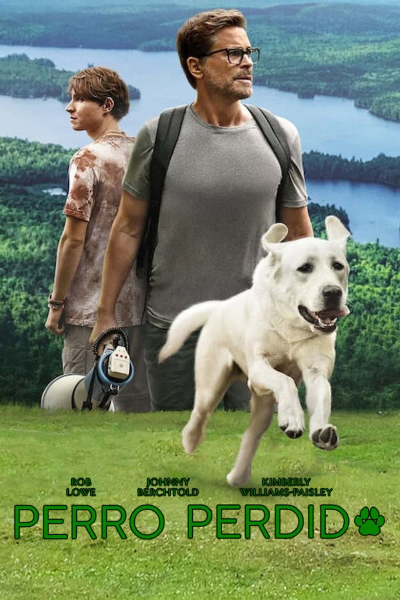 Póster la Película