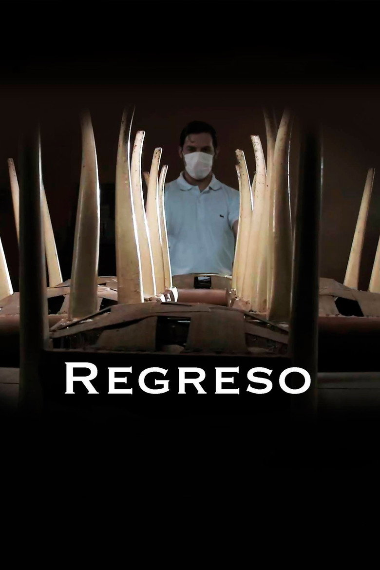 Imatge de Regreso