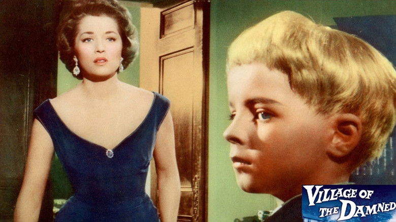 Dhq6kku6addv8yrzv8hrkzgr5mt