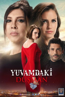 Yuvamdaki Düşman affiche