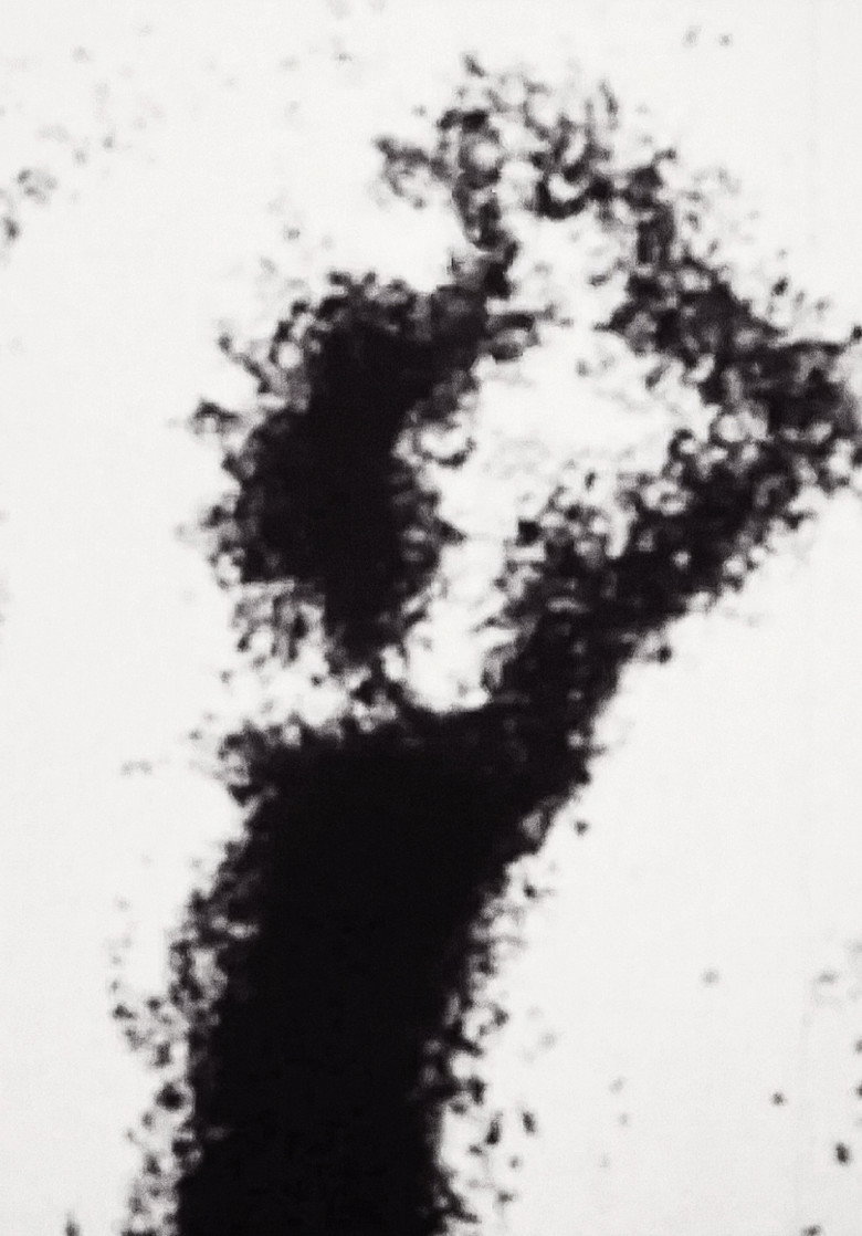 Imatge de Sandman