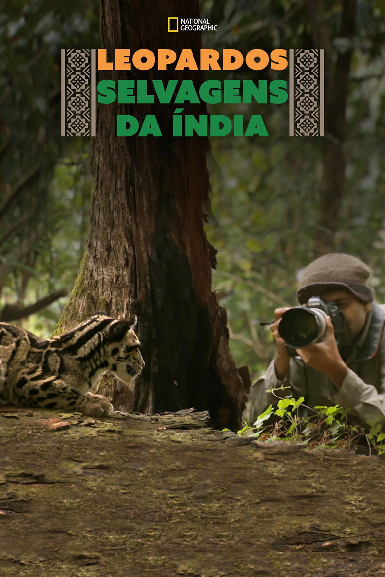 Índia: Terra de Leopardos