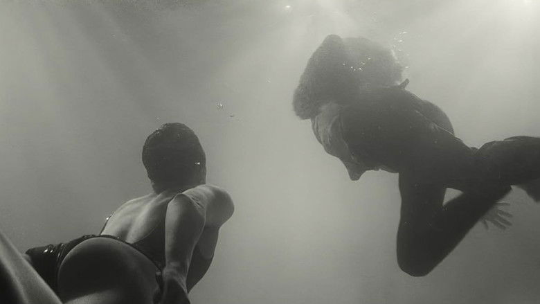 Dkglfir9rljqo2ivnj7cbwibqd1