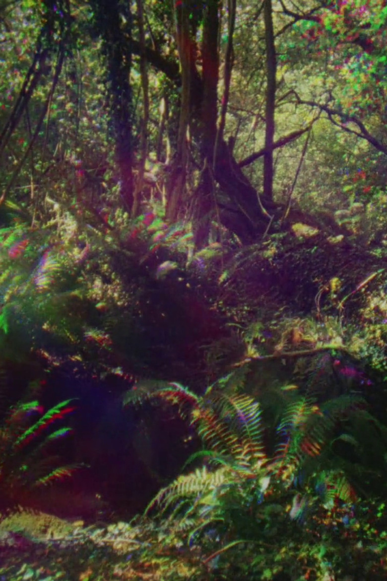 Imatge de Look Then Below