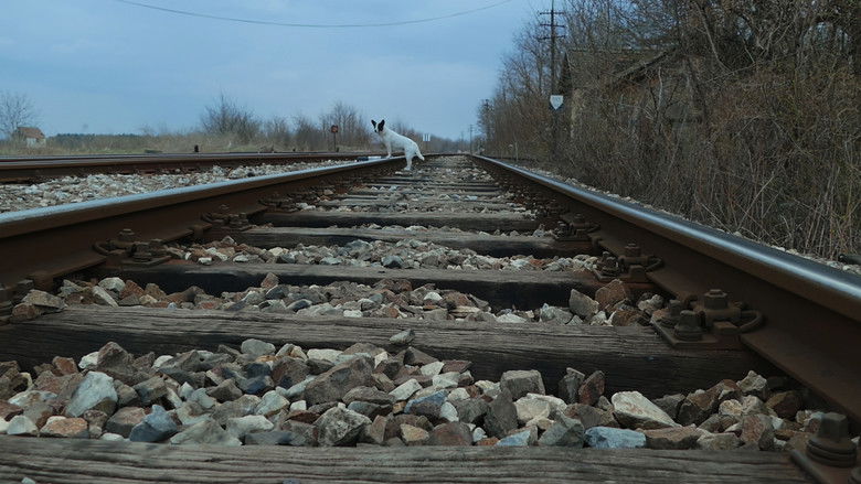 Image d'arrière-plan 10 du film Призори из живота џукца