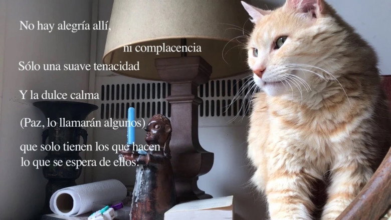 Lejano Interior still