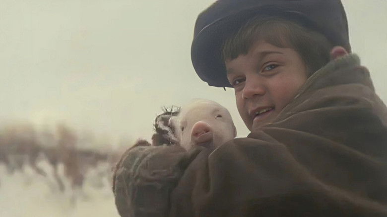 Still image for Emily of New Moon season 1 episode 8: The Tale of Duncan McHugh Still image for Emily of New Moon season 1 episode 8: The Tale of Duncan McHugh