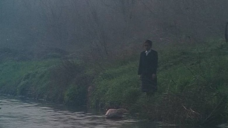 Gallery image from dlK1c20kBxmIRjwABNH1f5V8TCL.jpg