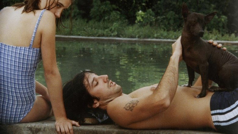 Gallery image from dlwhiDrEByLcD63bgiQ57HTSUtP.jpg