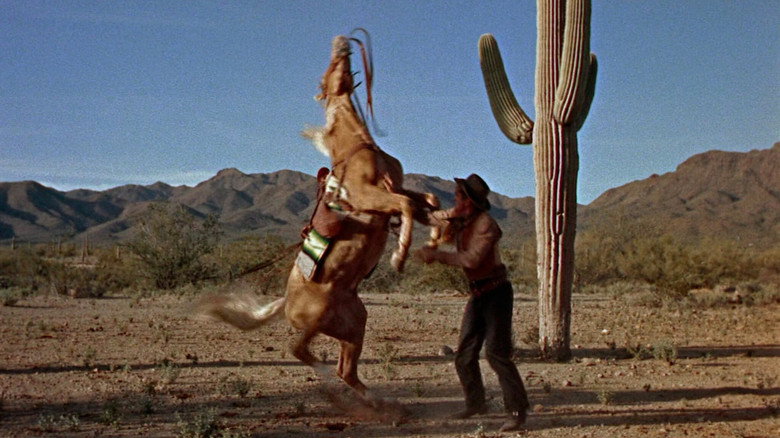 Scene still 10 from Buchanan Rides Alone