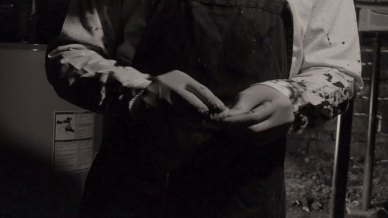 Gallery image from dnxsxfeeVDkHGSt1jbup7Do4mkJ.jpg