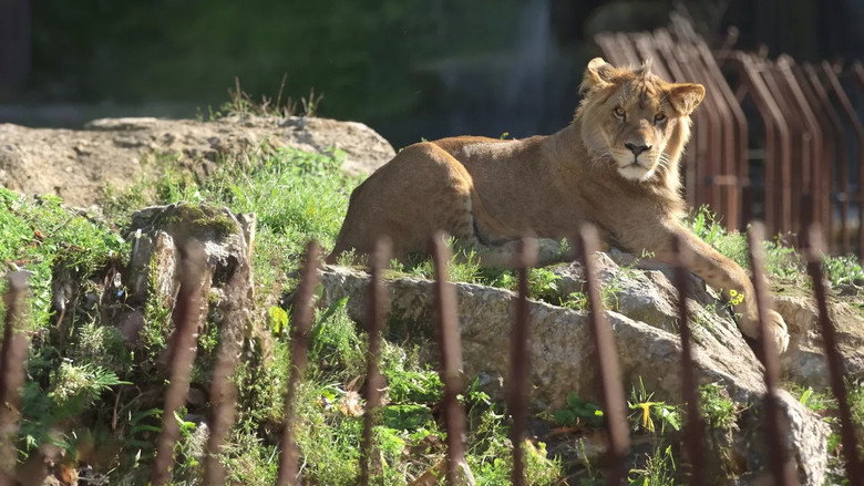 Expédition Pairi Daiza Photo 2