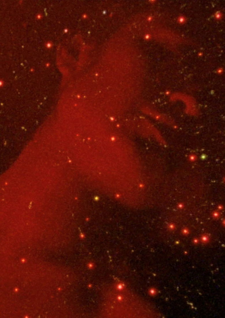 Imatge de ¡Aoquic iez in Mexico! (¡Ya México no existirá más!)