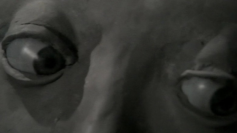 Still from Flora
