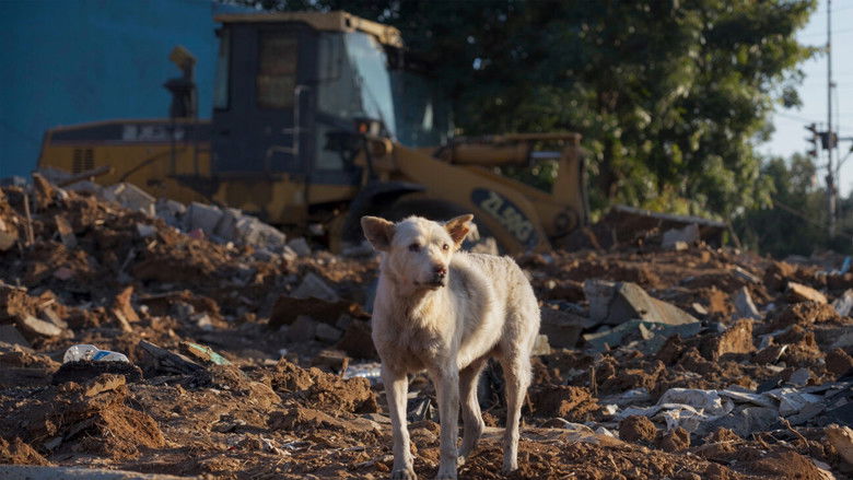 Imatge de When I Came to Your Door