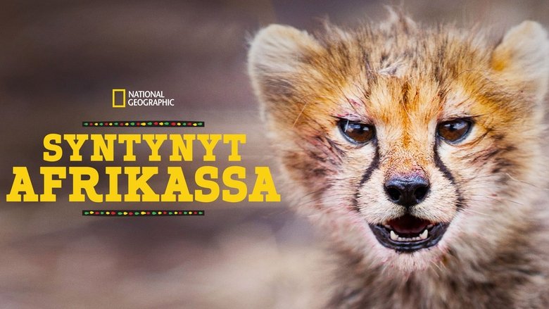 Gallery image from ds5SRIlxGhNUlKq7WopYFlgnuVb.jpg