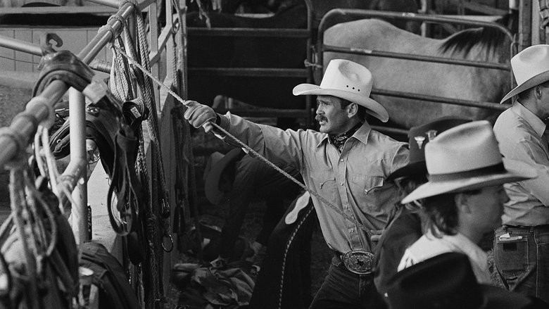 Gay rodeo in los angeles