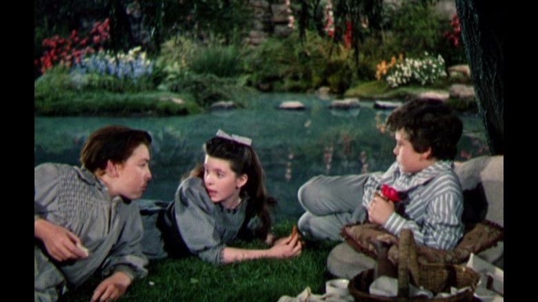 Image d'arrière-plan 4 du film Le jardin secret