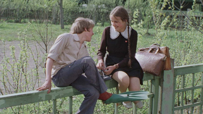 Image d'arrière-plan 7 du film Woodpeckers Don't Get Headaches