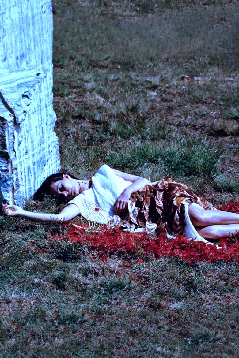 Imatge de Rosa de Areia