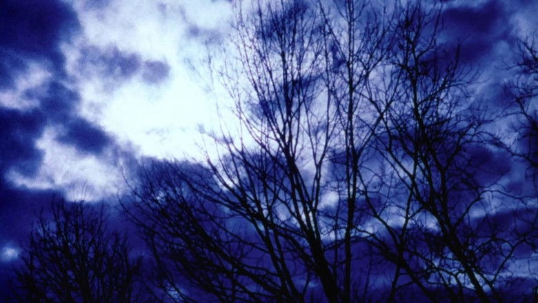 Gallery image from dsdOyjWZPDmxmwttmnEr7BVELFH.jpg