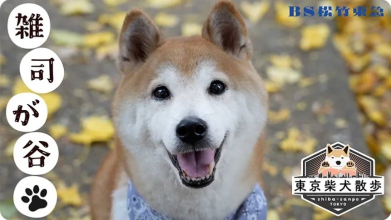 Still image for 東京柴犬散歩 season 1 episode 3: Episode 3