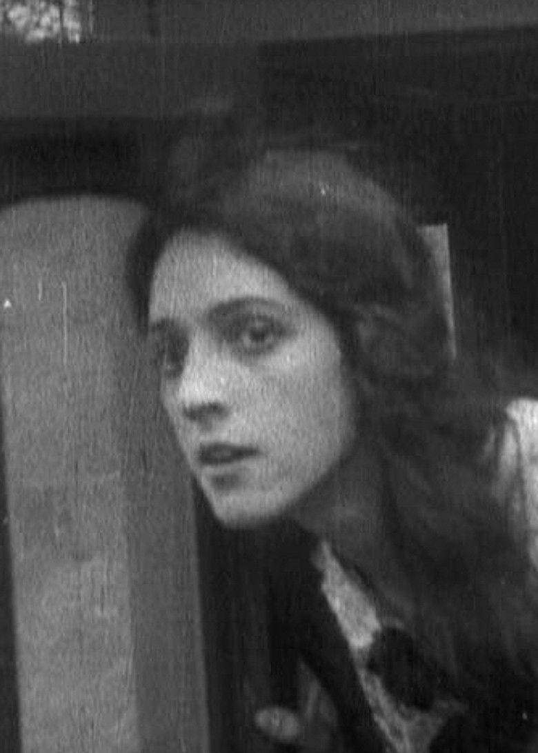 Imatge de The Confederate Ironclad