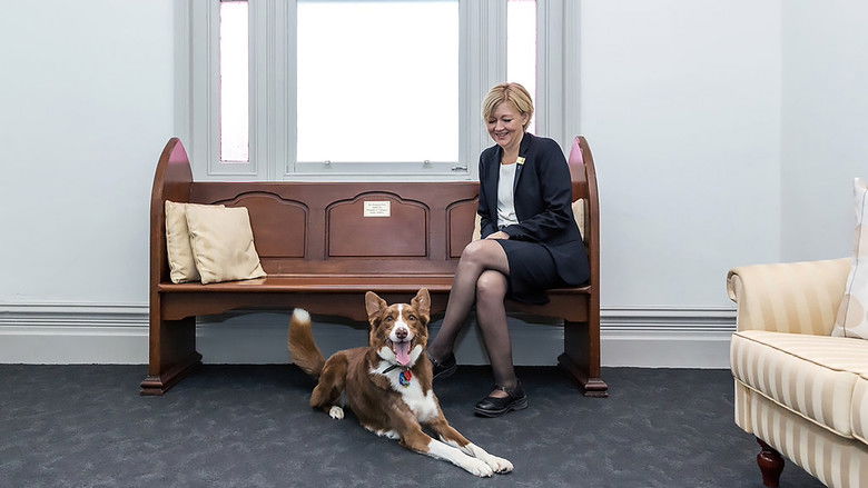 Still image for Top Jobs for Dogs season 1 episode 5: On The Beat Still image for Top Jobs for Dogs season 1 episode 5: On The Beat