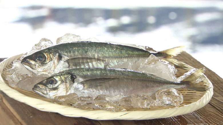 Still image for Trails to Tsukiji season 1 episode 5: Aji Still image for Trails to Tsukiji season 1 episode 5: Aji