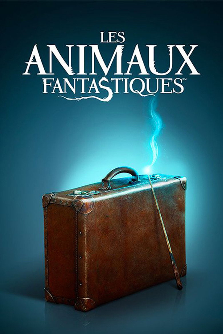 Póster la Película