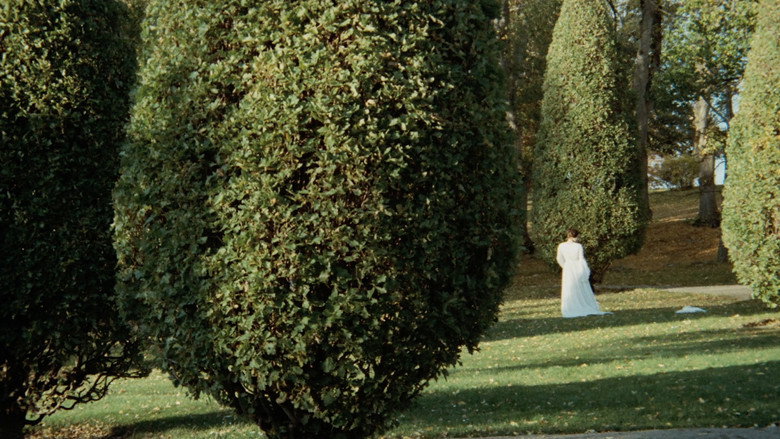 scenes 27