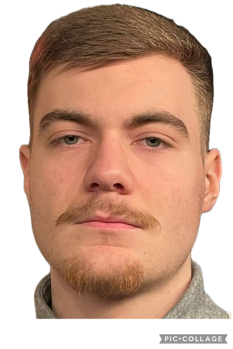 Imatge de Reflections