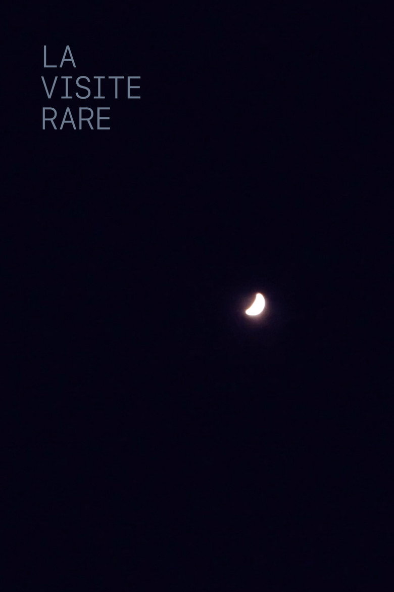 The Rare Visit poster