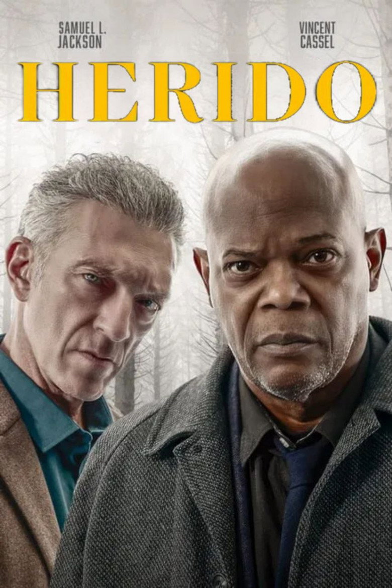 Póster la Película