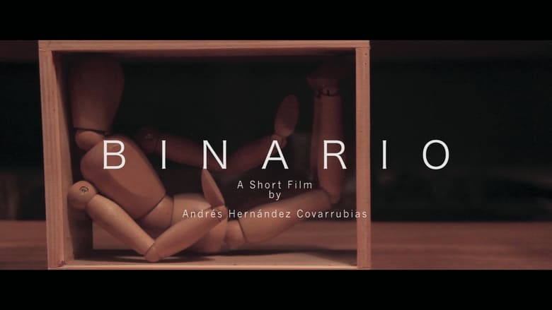 Binario movie poster