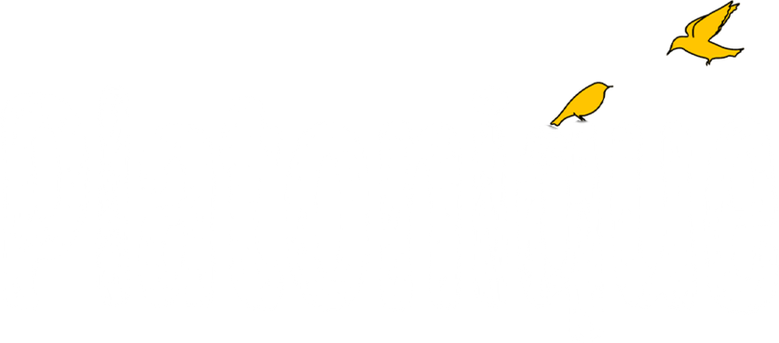 Platonique