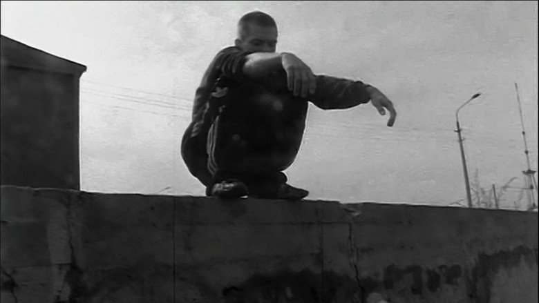 Cicuta still 1