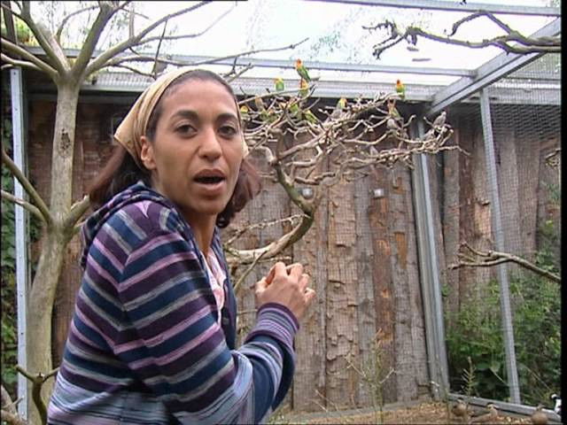 Still image for It's Not Rocket Science! season 1 episode 343: Episode 343 Still image for It's Not Rocket Science! season 1 episode 343: Episode 343