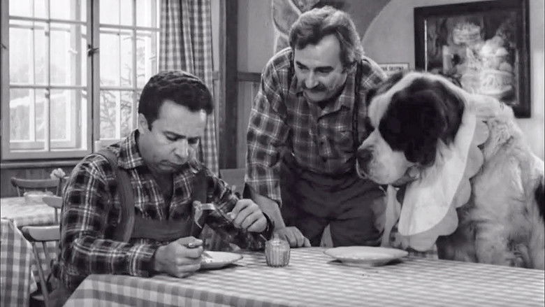 Backdrop de Bohouš (kolekce)