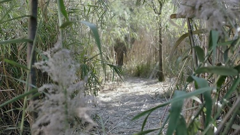 Still image for Under the Power season 1 episode 15: Episode 15 Still image for Under the Power season 1 episode 15: Episode 15