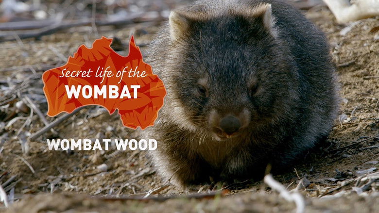 Still image for Secret Life of the Wombat season 1 episode 1: Wombat Wood Still image for Secret Life of the Wombat season 1 episode 1: Wombat Wood