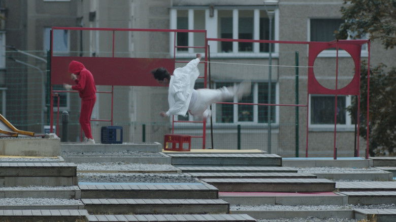 Imatge de Betono vaikai