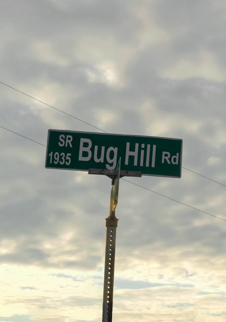 Imatge de Bug Hill